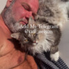 Profilbild von raffnelson